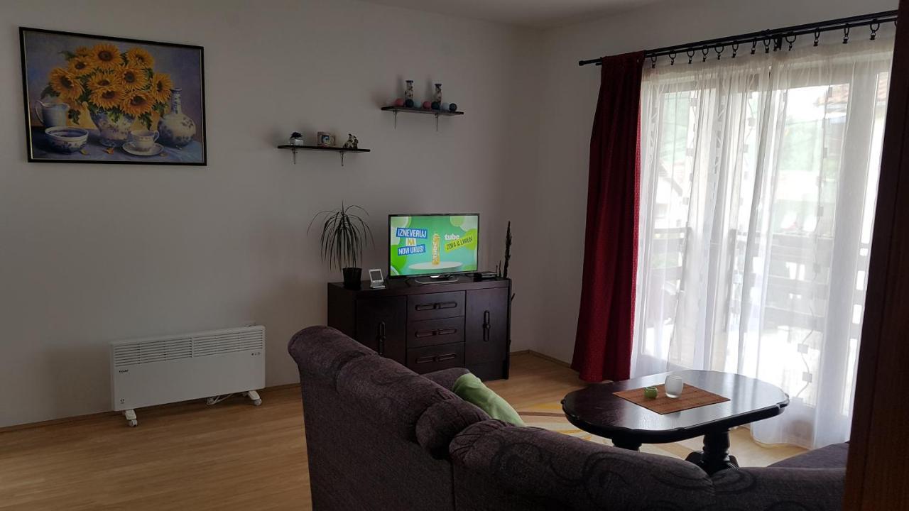 Apartament Apartman Jovanovic Bajina Basta Zewnętrze zdjęcie