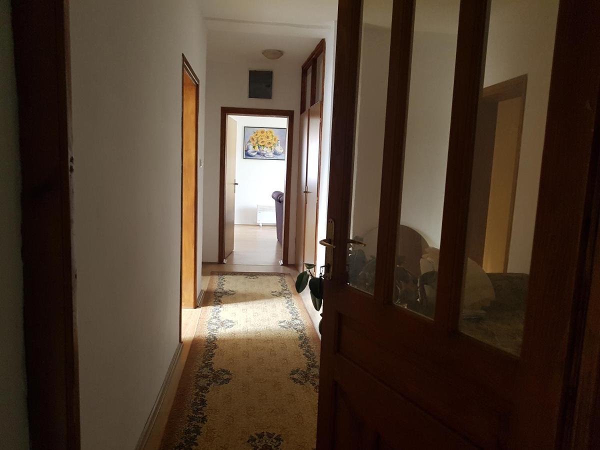 Apartament Apartman Jovanovic Bajina Basta Zewnętrze zdjęcie