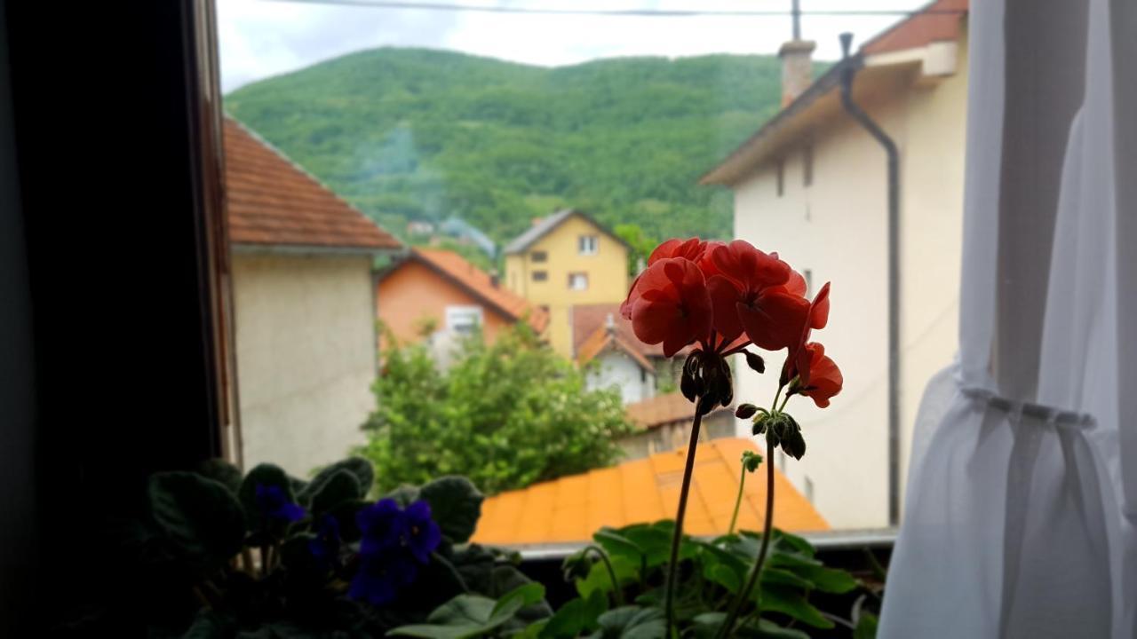 Apartman Jovanovic Bajina Basta Zewnętrze zdjęcie