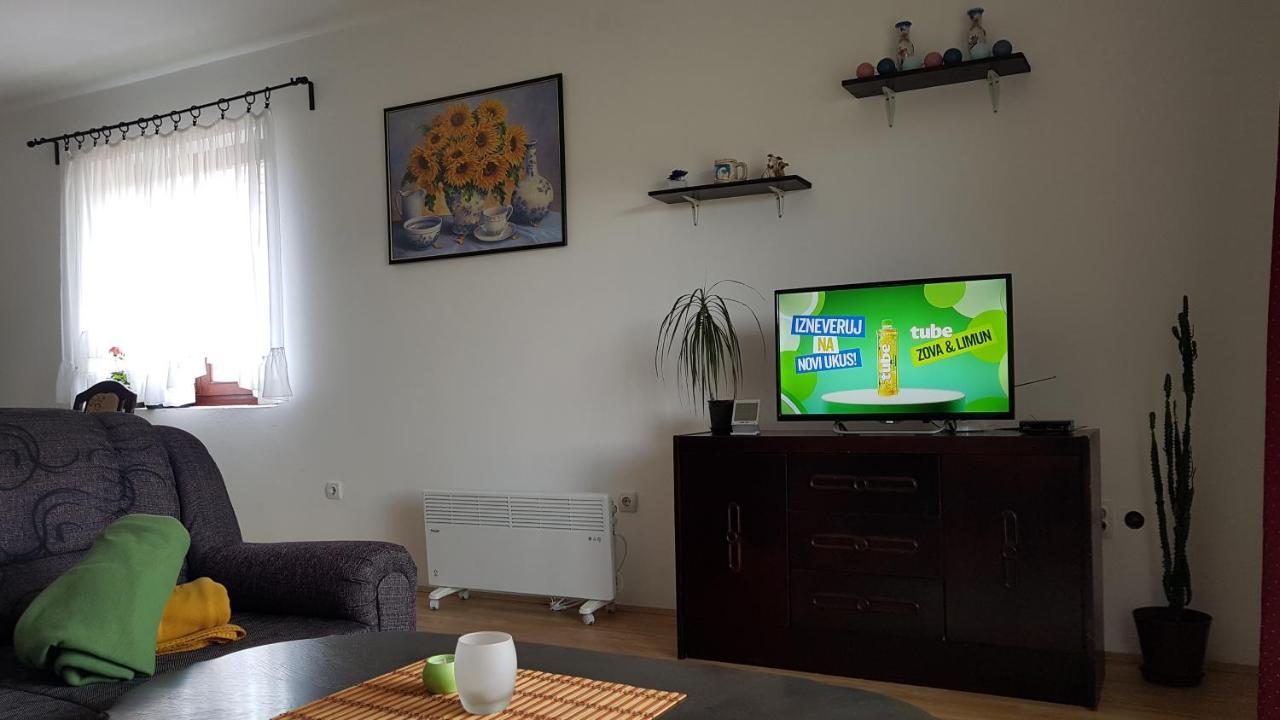 Apartament Apartman Jovanovic Bajina Basta Zewnętrze zdjęcie